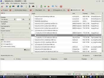 EiskaltDC++ image for Files